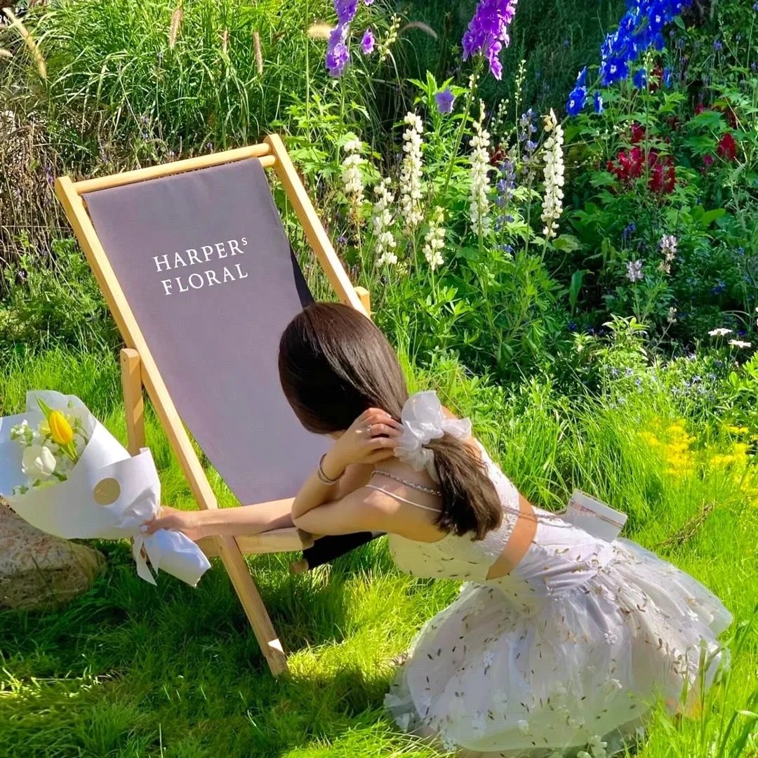 督军开门小福星来啦